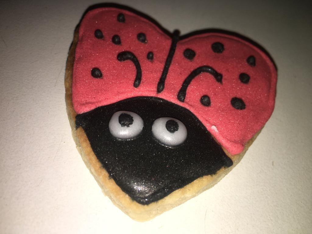 Ladybug